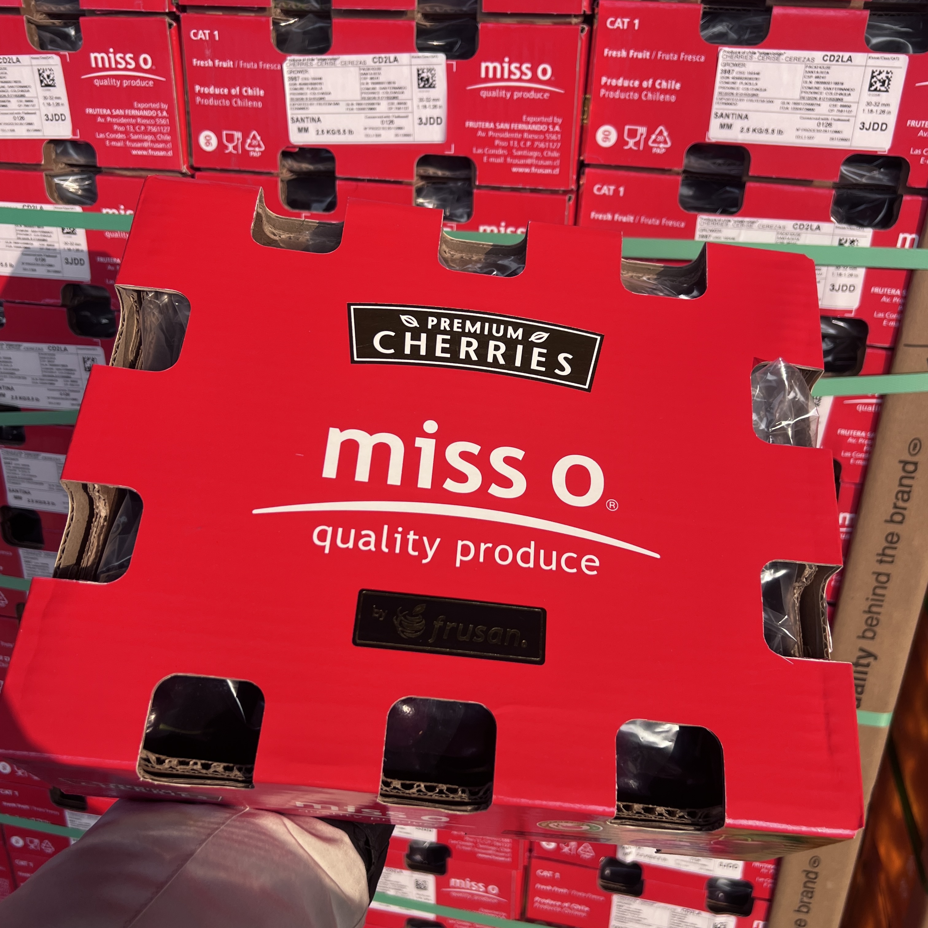 【3JDD桑提娜Miss O】智利进口车厘子新鲜车厘子5斤3JDD内附果径卡海运车厘子原装进口桑提娜樱桃智利共和国