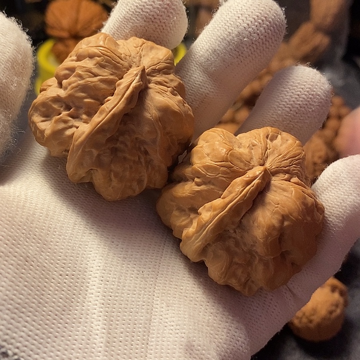 文玩核桃把件兄弟对丑蛤蟆