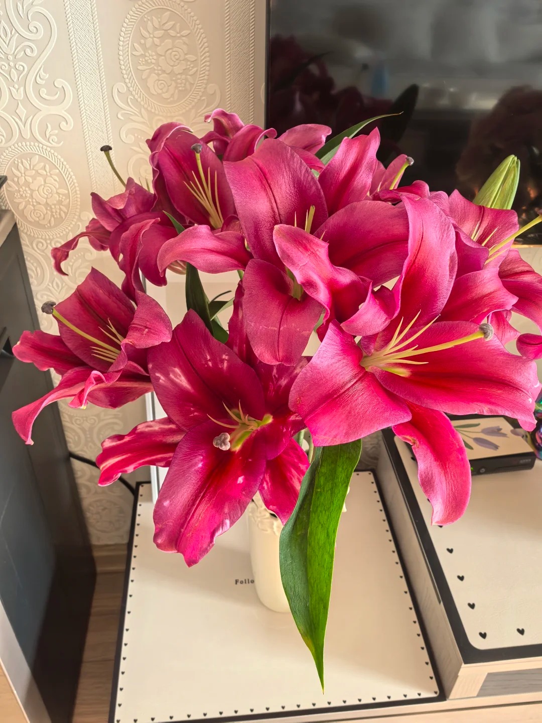 【有雲】百合-帕拉左 任意两单包邮 发货后不支持退款