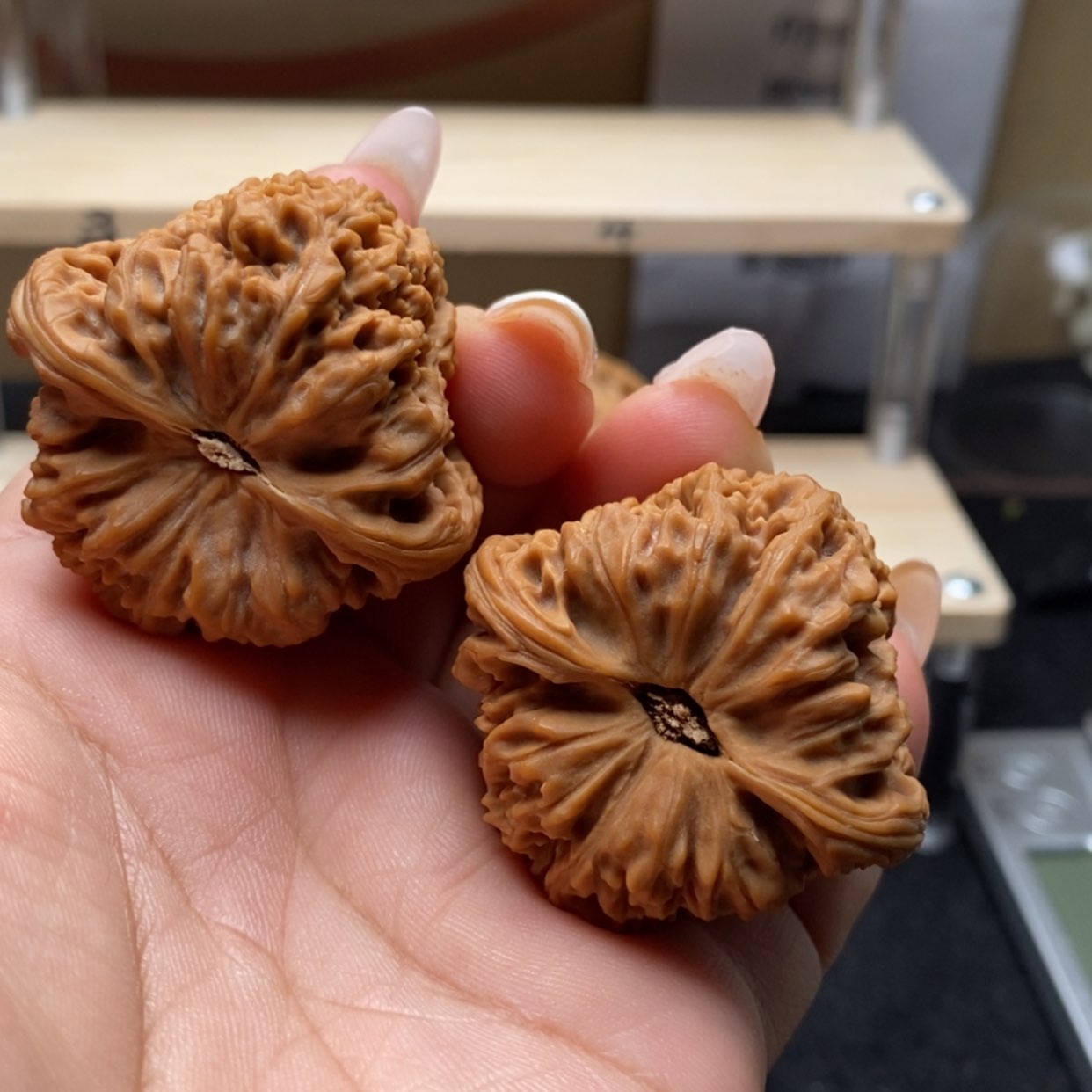 【闪购商品】爱****家53号 涿鹿南将石边41全品精对
