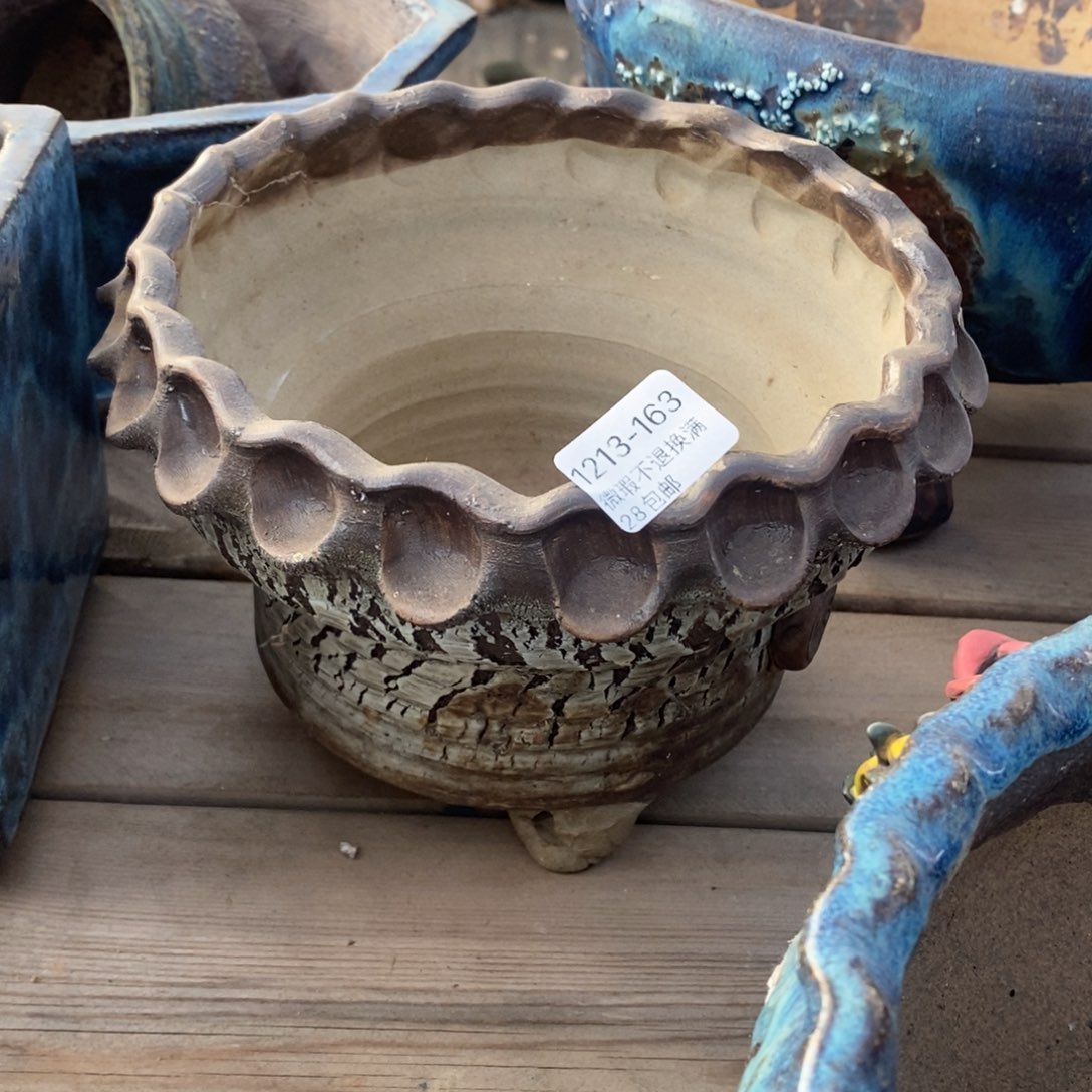 163号多肉盆口径16