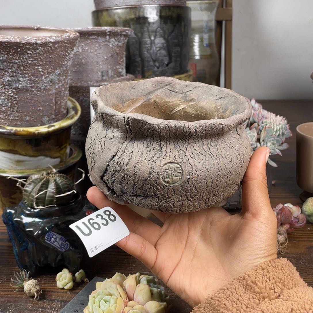 默认微次 元旦福利 坛子姐花盆