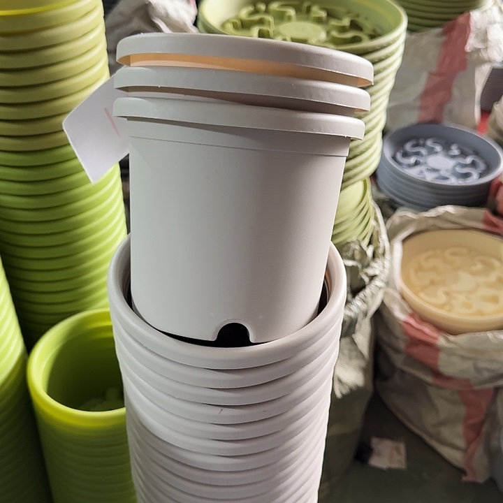 瑕疵2#灰白12个无托