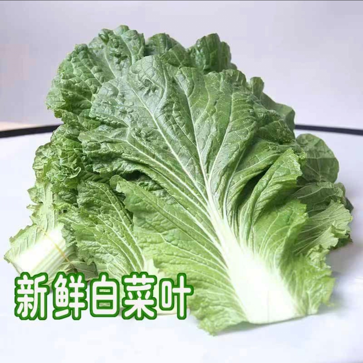 东北特产饭包叶白菜叶打包叶新鲜采摘营养美味包邮