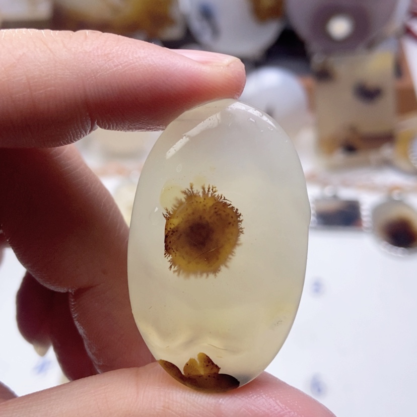 【闪购商品】玛瑙/玉髓颈饰未镶嵌