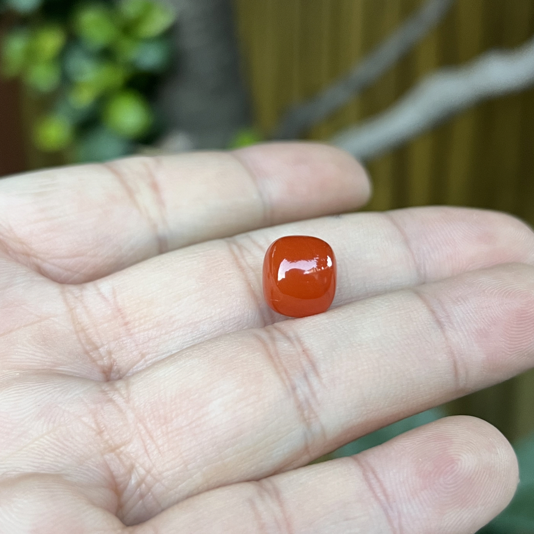 15号:活动南红（11m联合辣椒红老型）