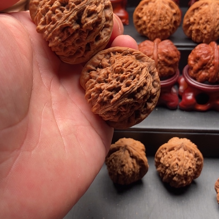 A***a龙脊菩提吊坠43.5楼子