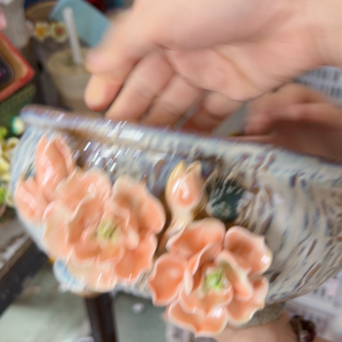 2495 拍满18.8包邮发货