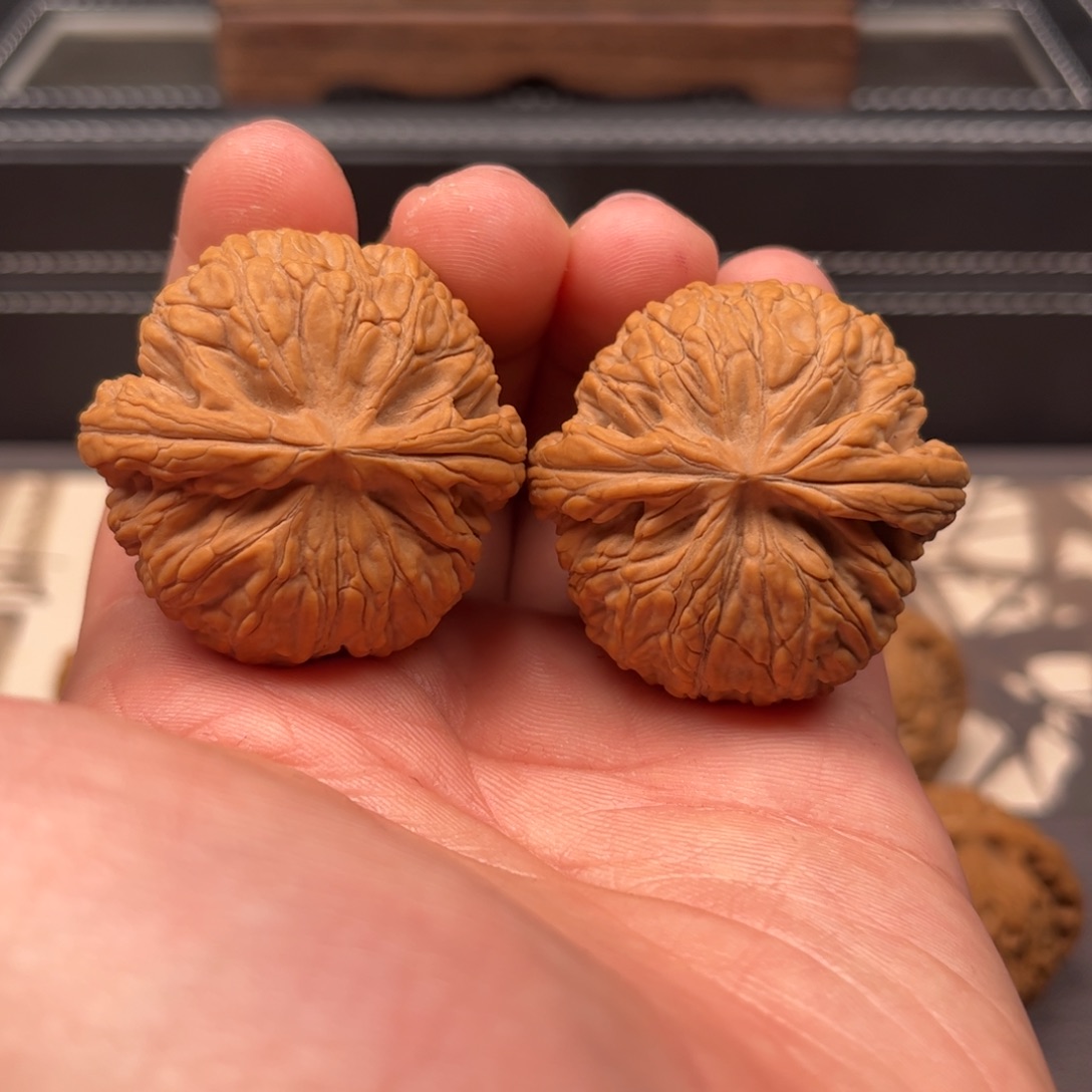 文玩核桃吊坠戴40蛟龙