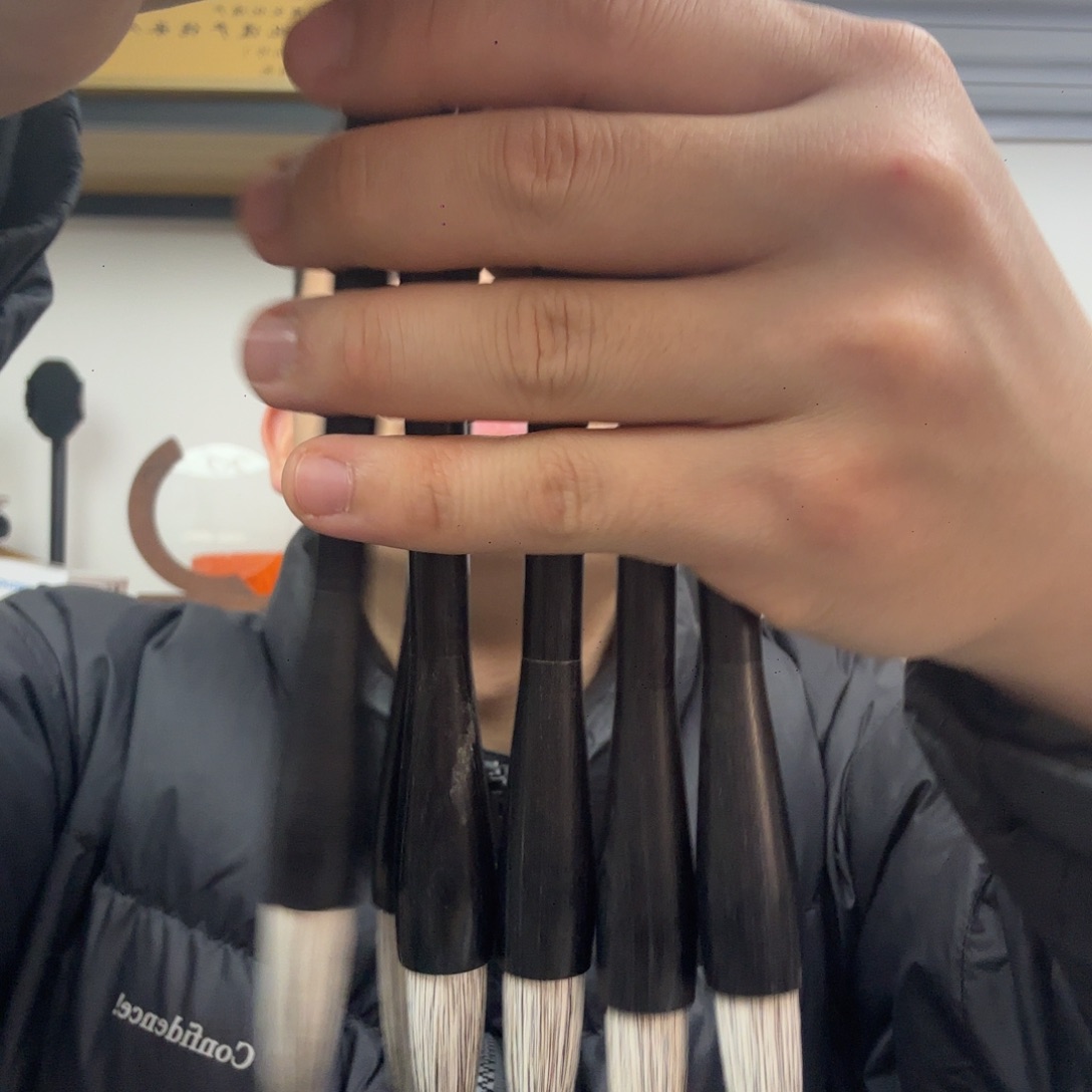 （云中鹤）雪狐一支