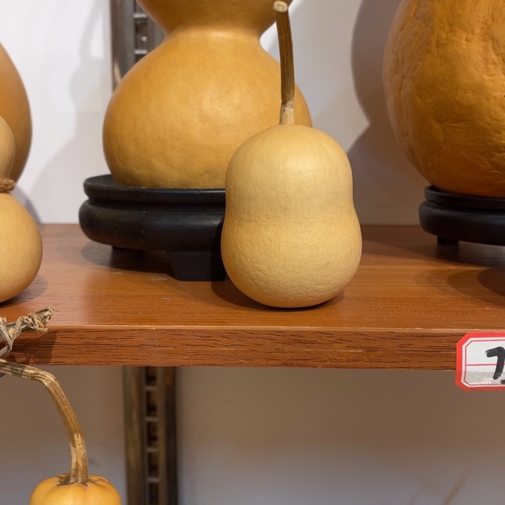 Z***z111111111111111111