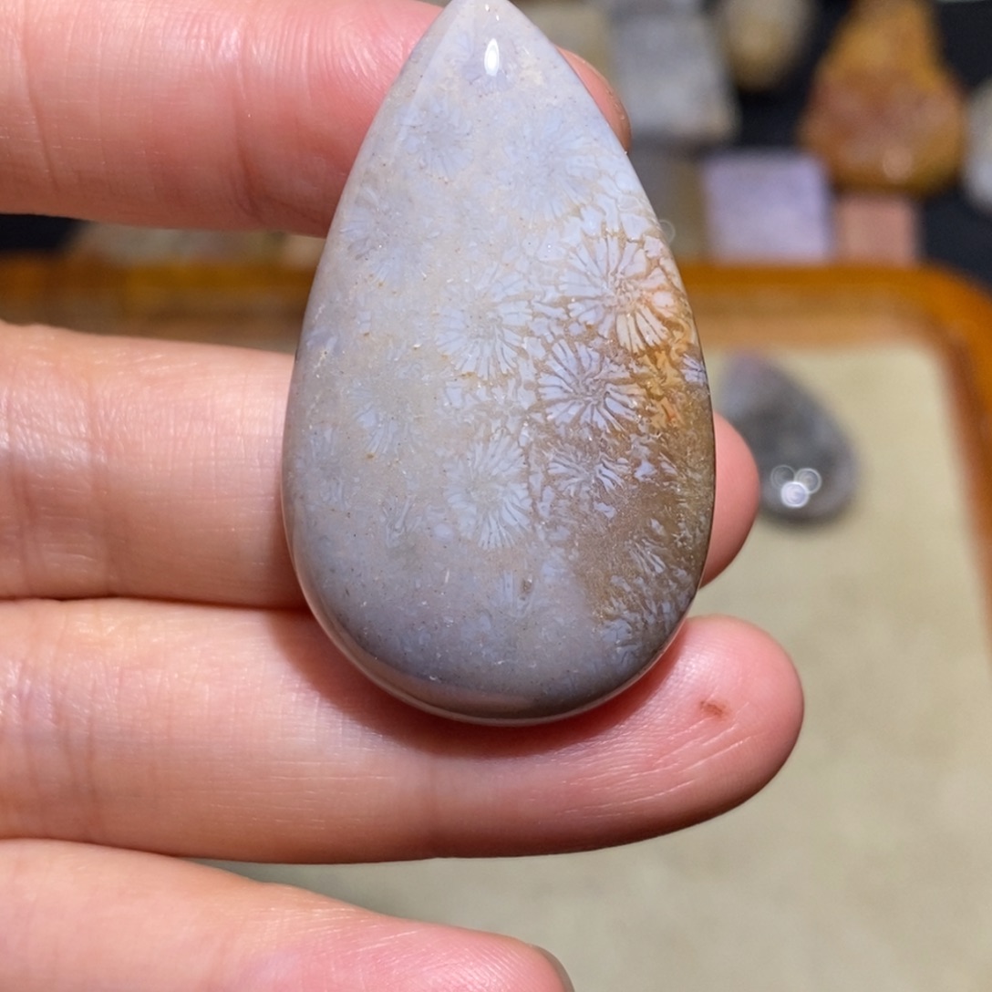 【闪购商品】硅化玉珊瑚玉未镶嵌