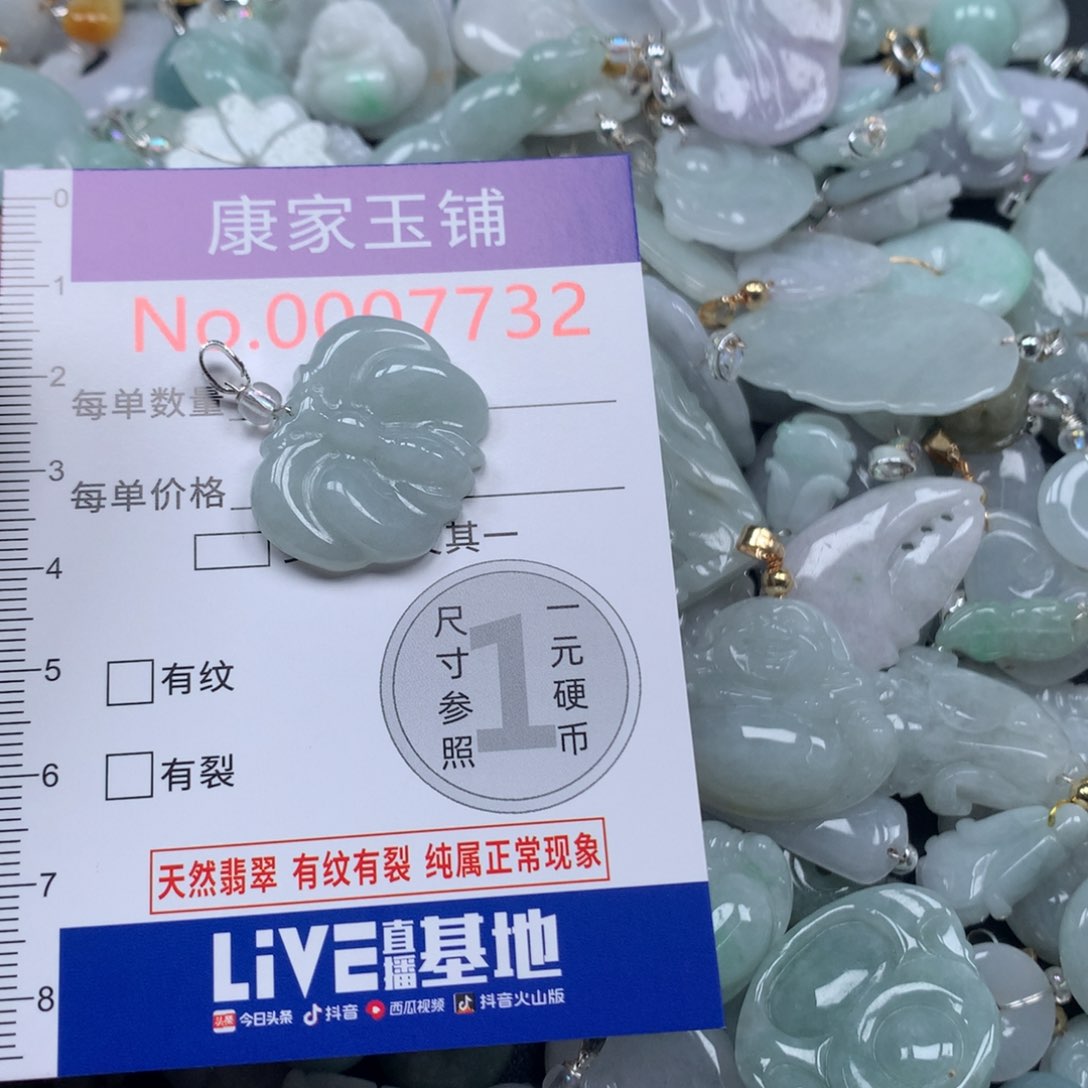 颈饰未镶嵌翡翠x