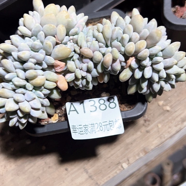 幸运的是我的朋友们