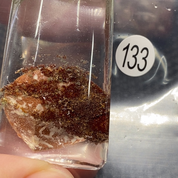 L***心未镶嵌颈饰水晶水晶