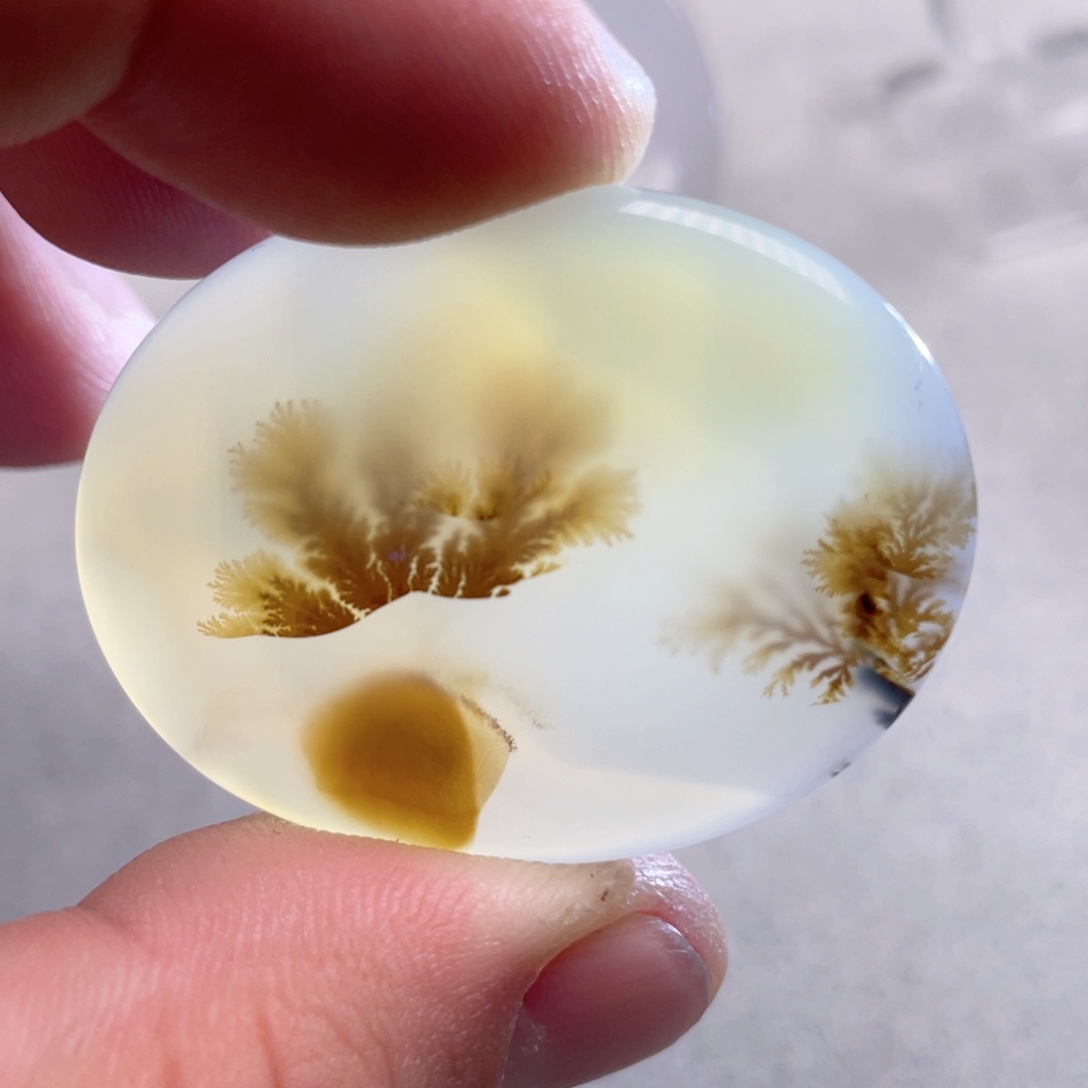 【闪购商品】玛瑙/玉髓颈饰合金