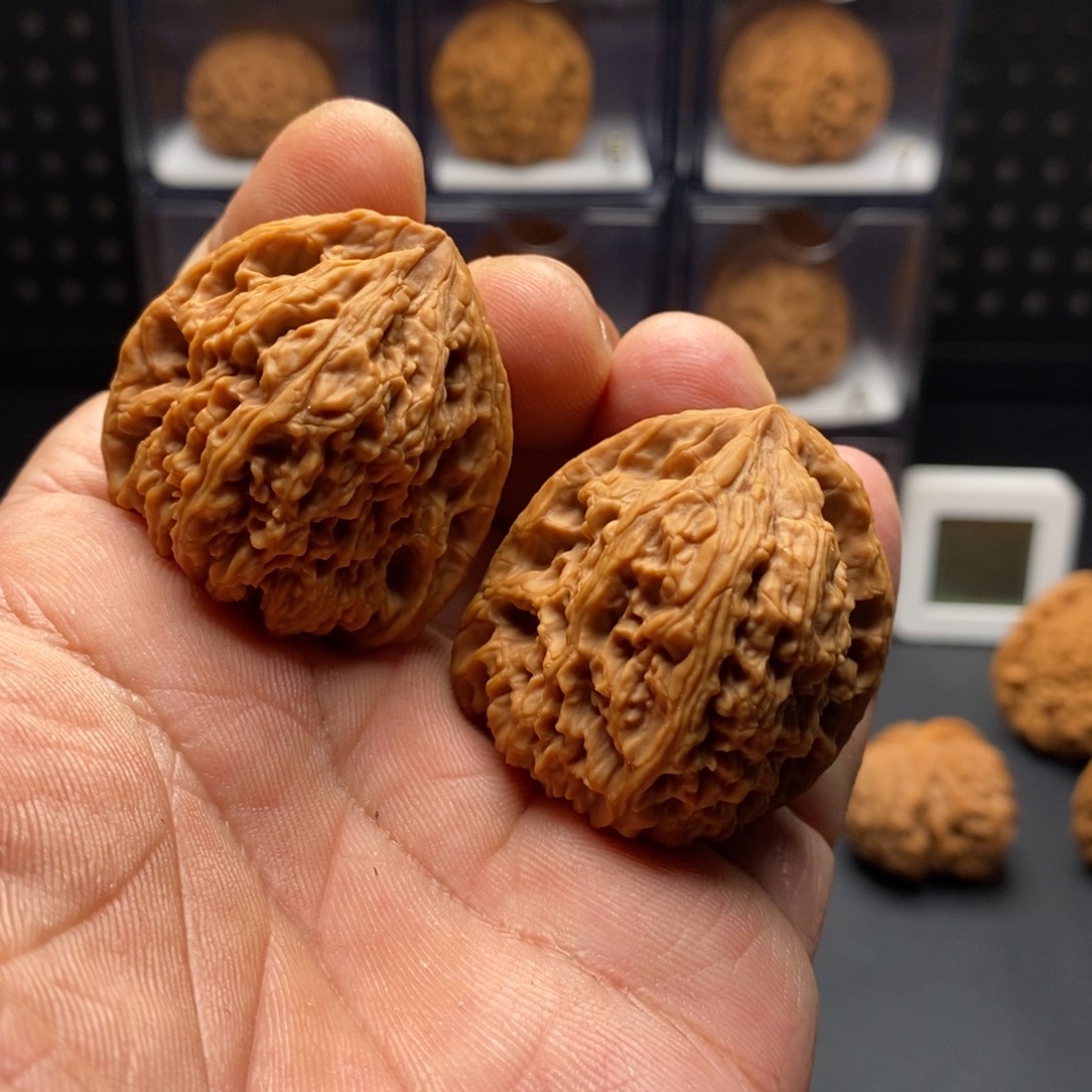 哎***去福利南疆8888888888