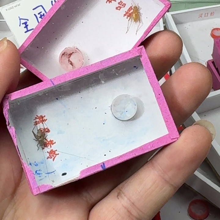 俞***祥蟋蟀111111111111