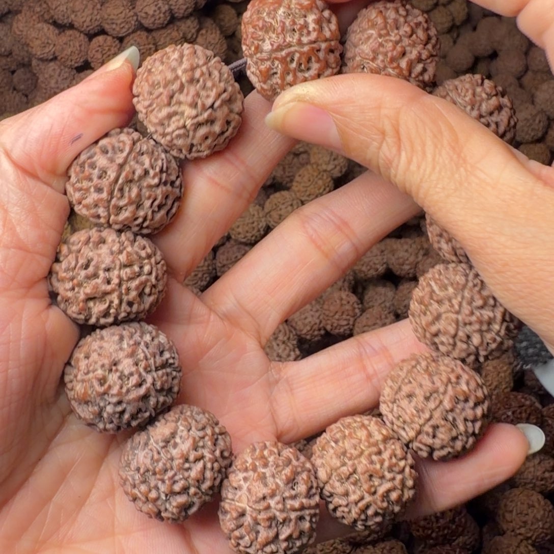 手串金刚菩提8瓣卡23尺，106号