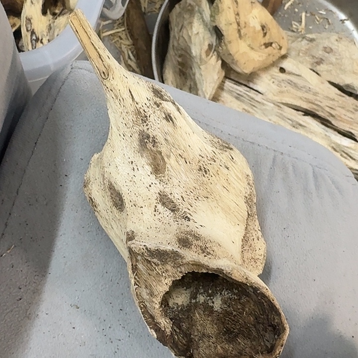 沉香沉香碎屑沉香料子