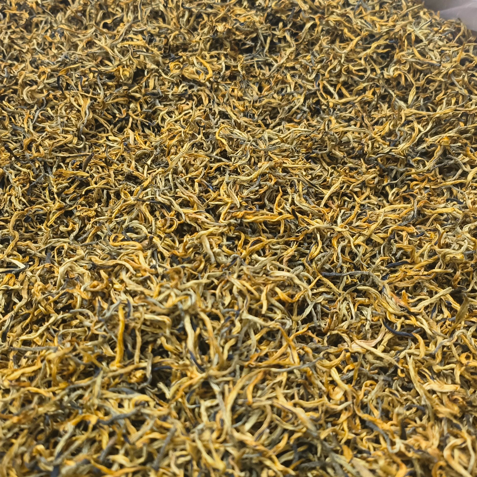 传统工艺匠心制作小金丝汤色橙黄清澈透亮香高味醇耐泡茶叶