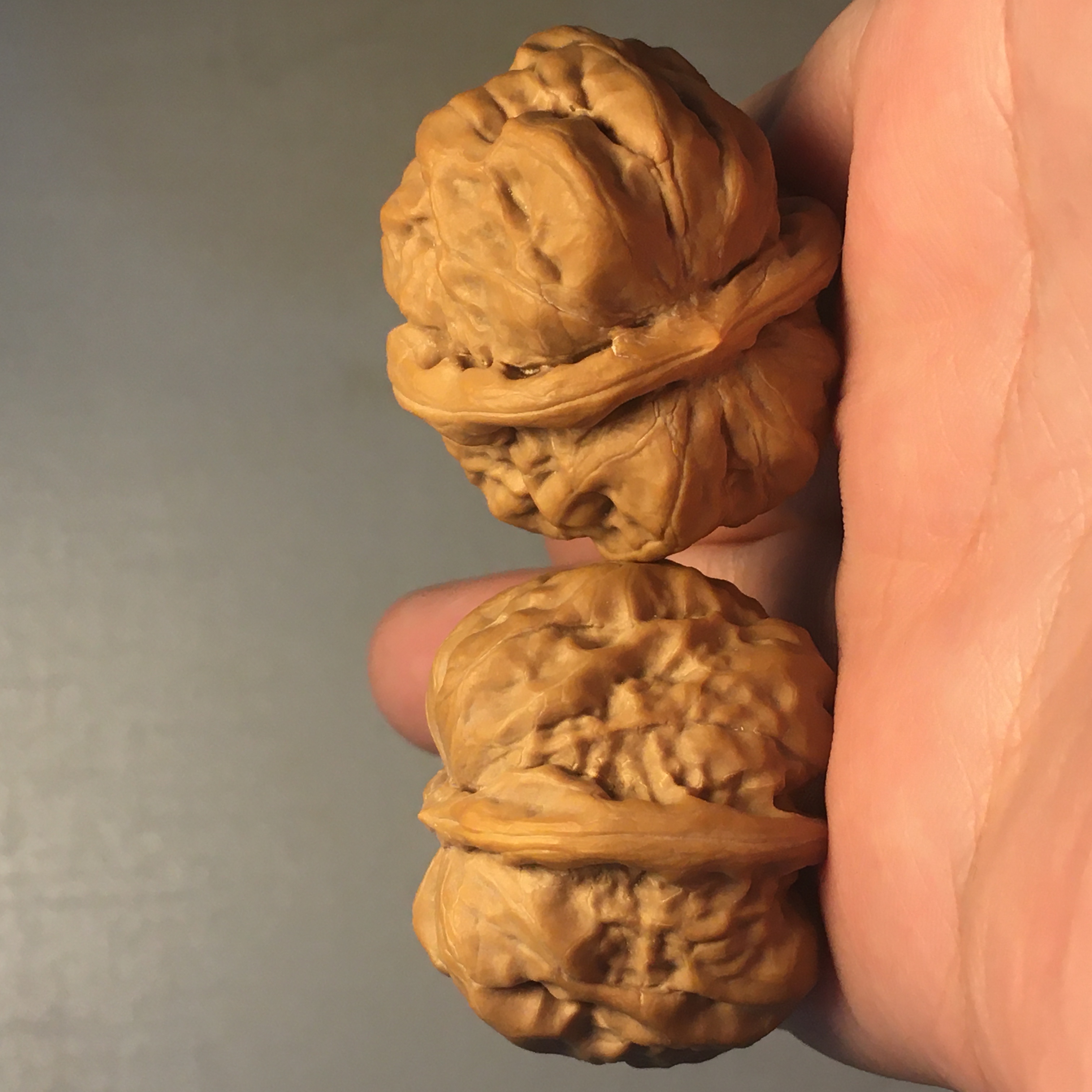 涞水文玩核桃狮子头铁锤元宝蛤蟆头青皮核桃手盘把件包浆精品核桃