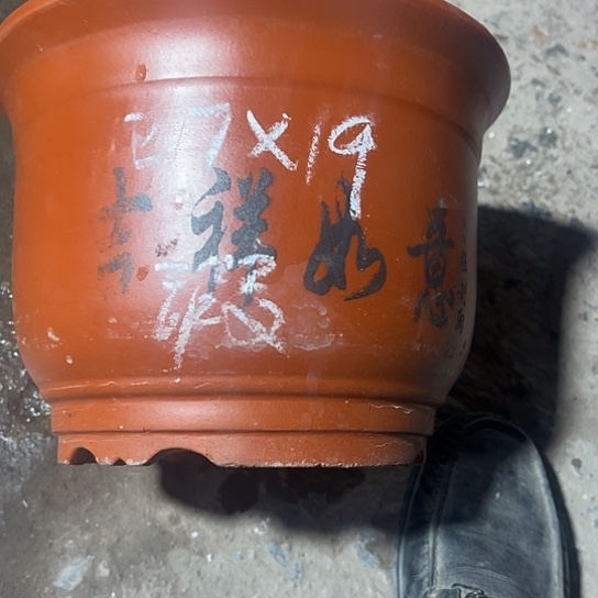 紫砂工艺厂、紫砂工艺厂……