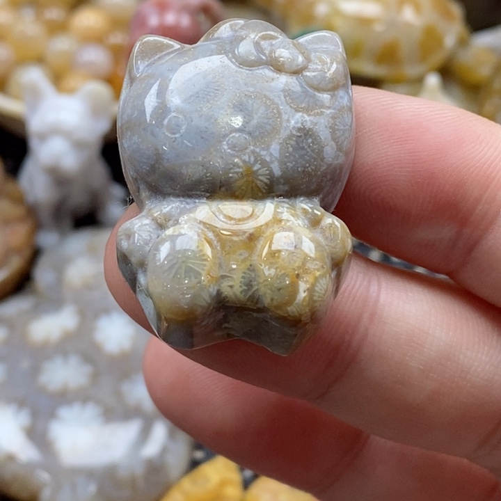 硅化珊瑚（珊瑚玉）颈饰未镶嵌小吊坠