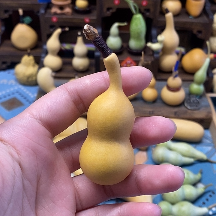 天津嘴厚皮全品无暇