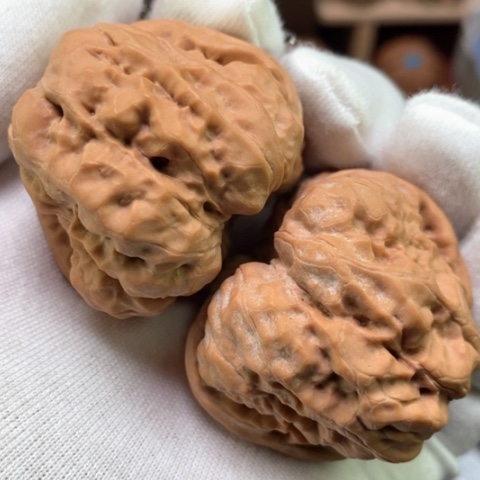 文玩核桃吊坠43全品货头山地红皮三角四八八蛤蟆