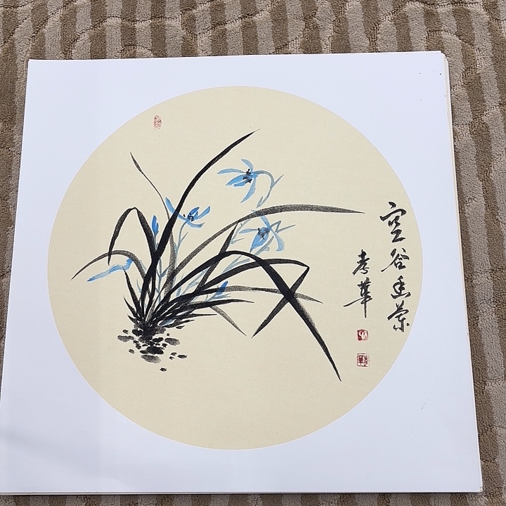 国画花鸟等多种鸟类的栖息地及