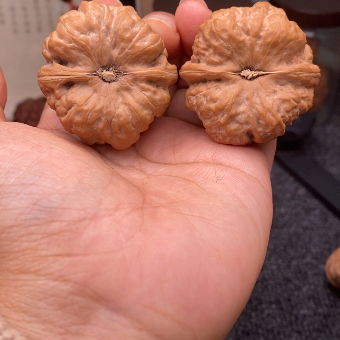 文玩核桃把件41蛤蟆头