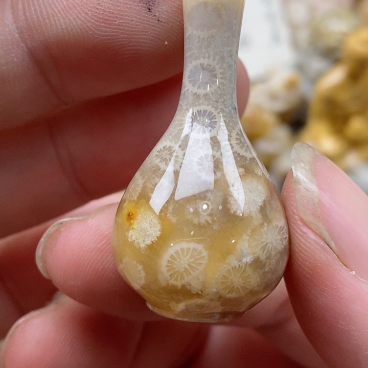 颈饰未镶嵌硅化珊瑚（珊瑚玉）