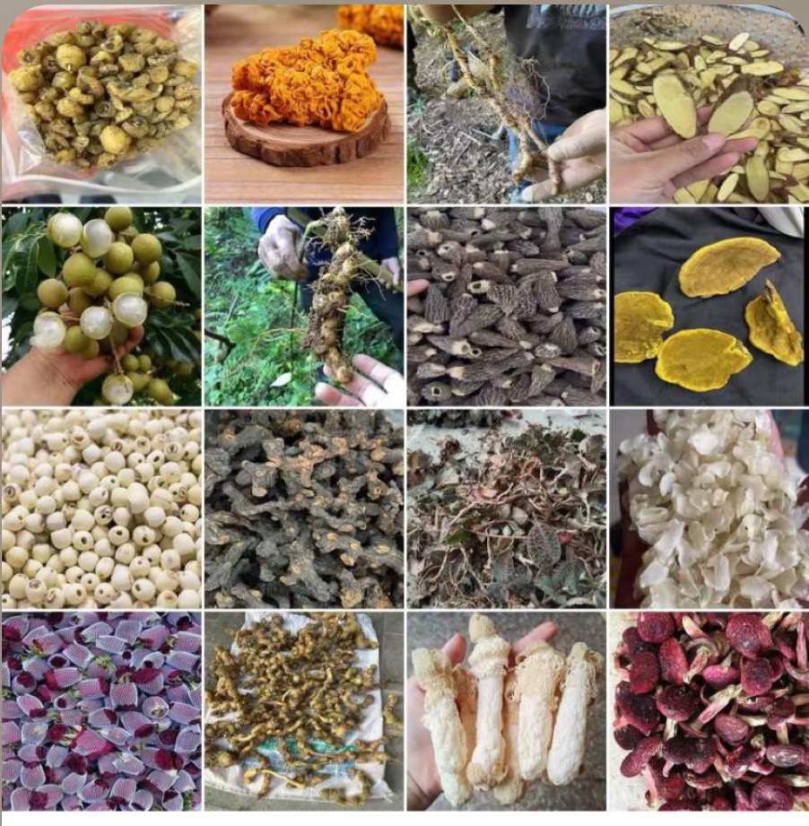 云南农家好物（通用链接）香菇类