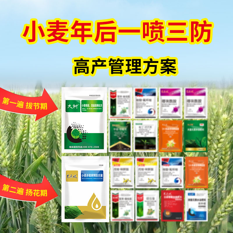 小麦套餐一喷三防全三遍叶面肥灌浆肥