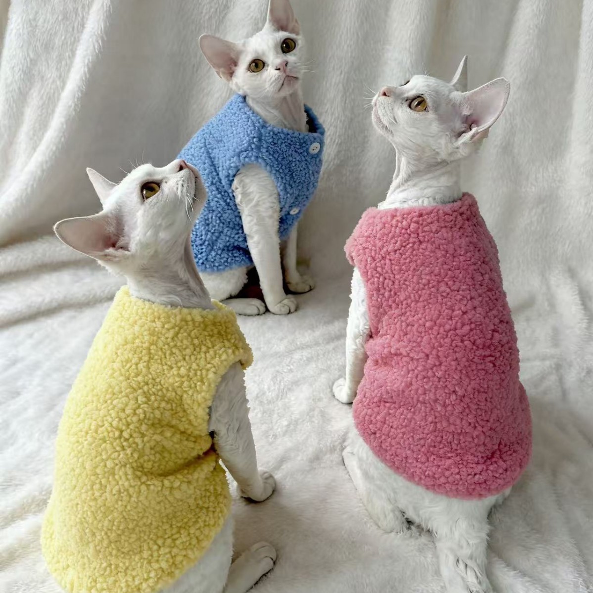 厂家直销猫咪狗狗冬季新款毛绒圆领无毛猫德文背心加厚多巴胺马甲