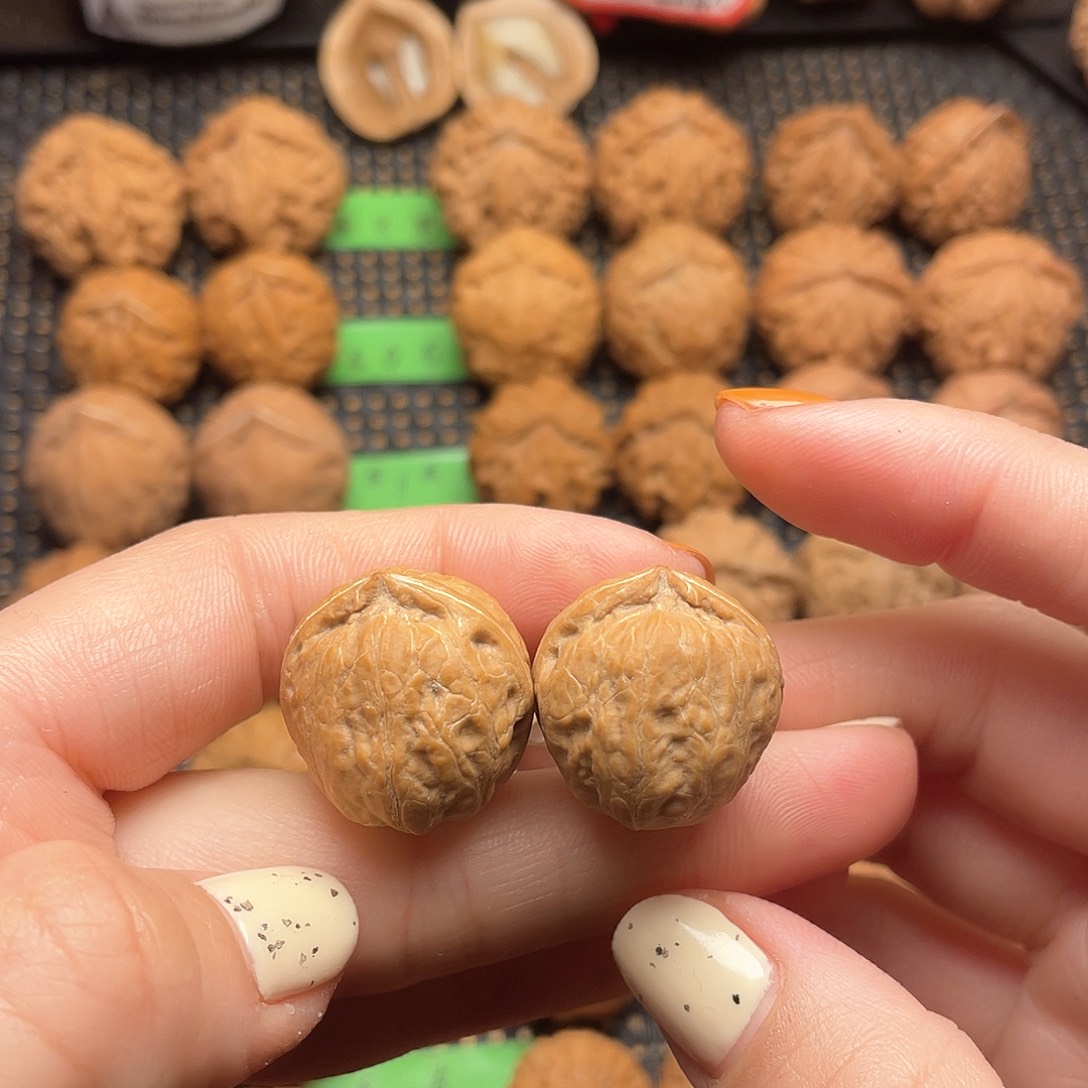 文玩核桃吊坠23尺全品瓷娃娃0009