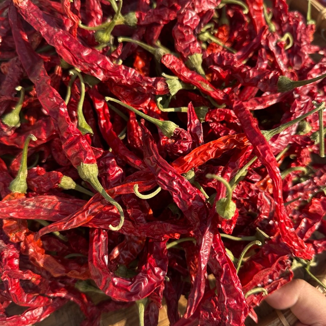 中辣二荆条干辣椒农家自晒传统手工农产品炒菜香辣