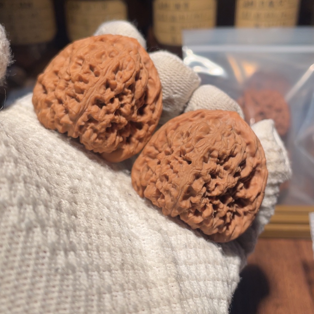 核桃43三角疆mmmm