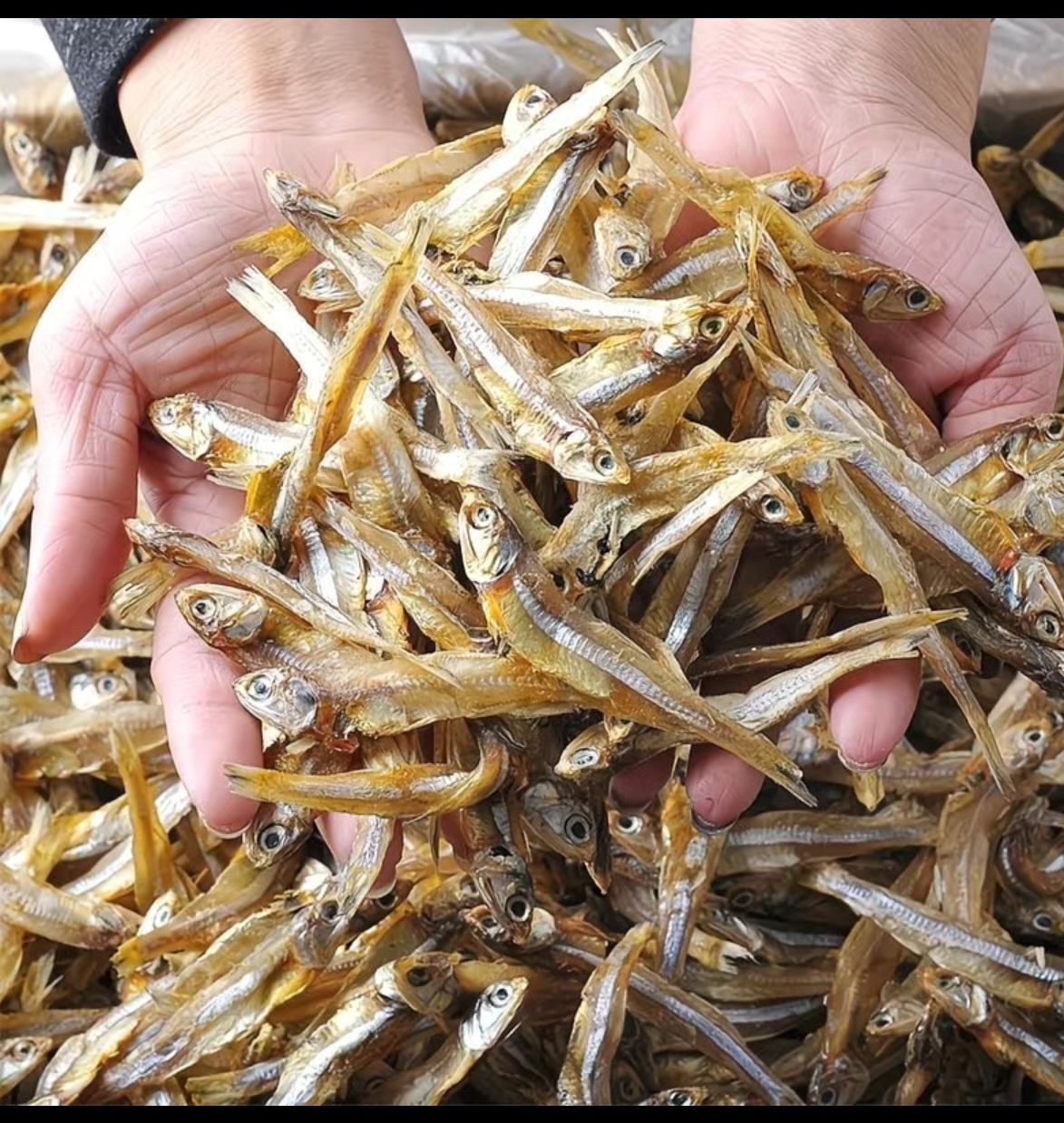 野生深海银鱼干美味干货 7成干