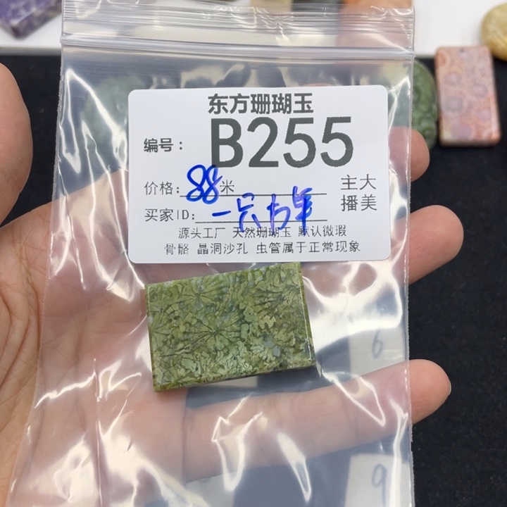 硅化珊瑚（珊瑚玉）颈饰合金一**羊