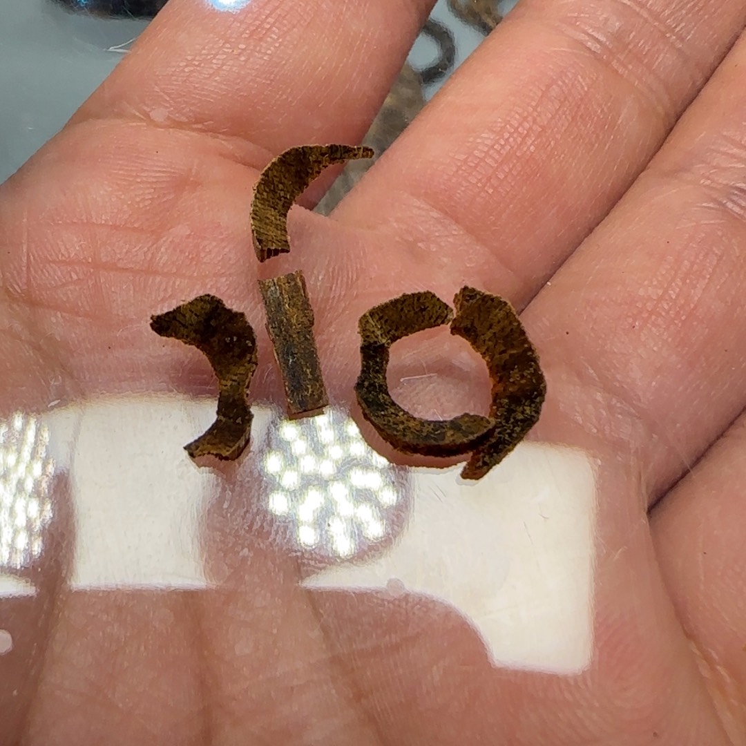 沉香碎屑沉香0.14克芽庄白奇芽庄白奇碎粒