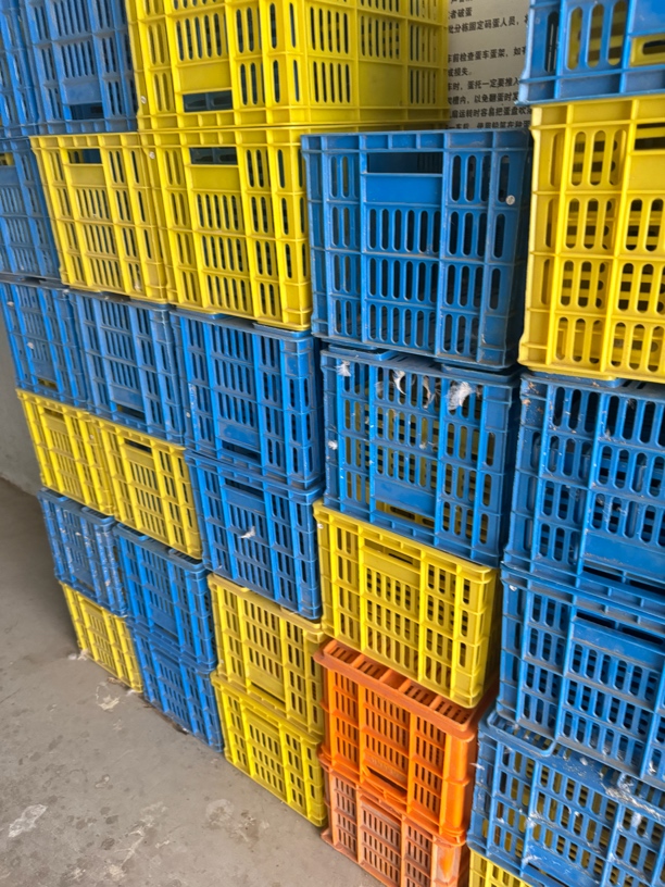 家禽运输蛋框 顺丰包邮