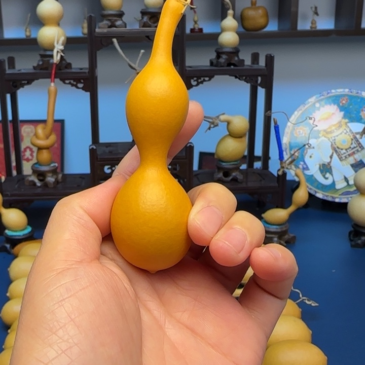 盆***景大叶紫檀（黑酸枝木类）