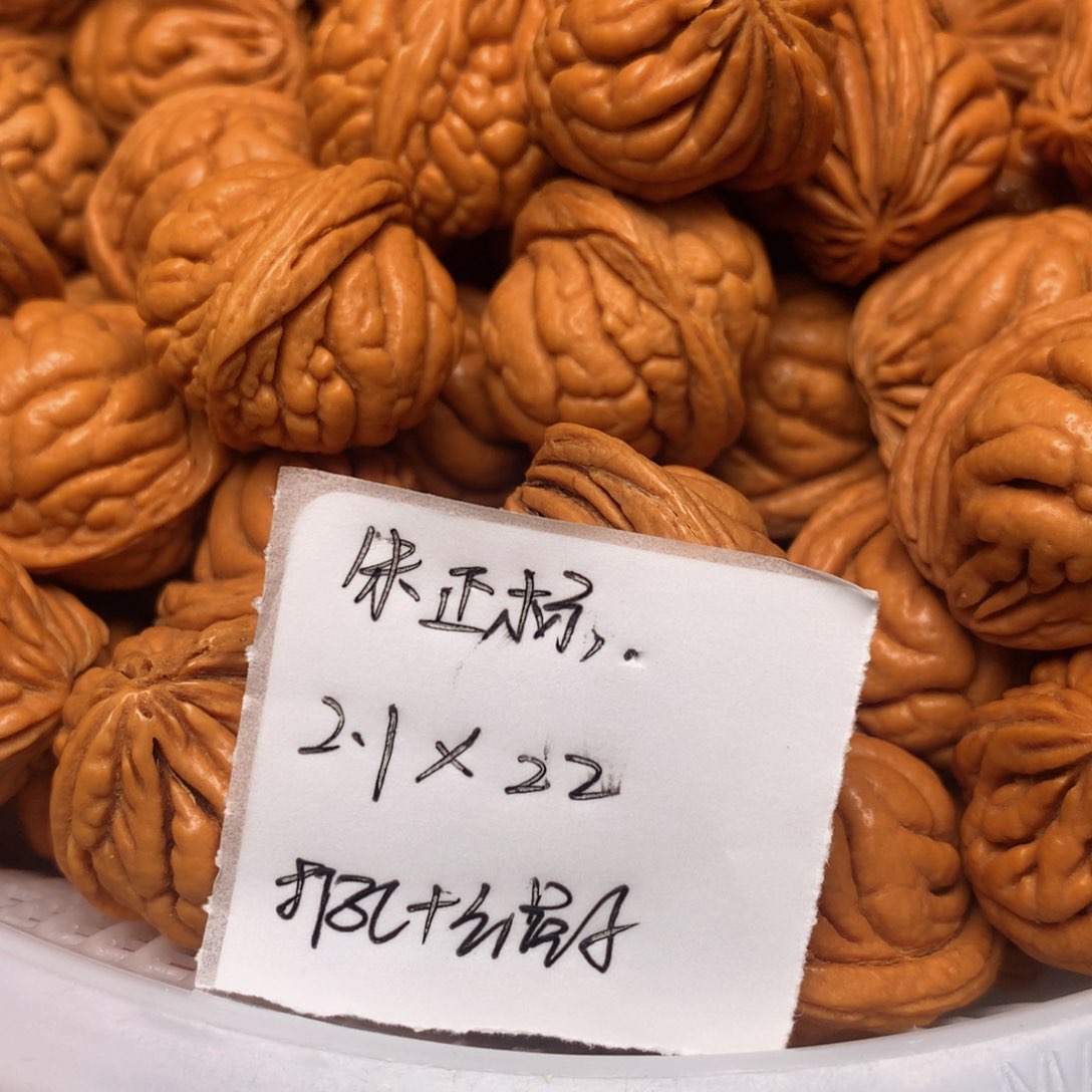 龙纹桃核霸王龙—