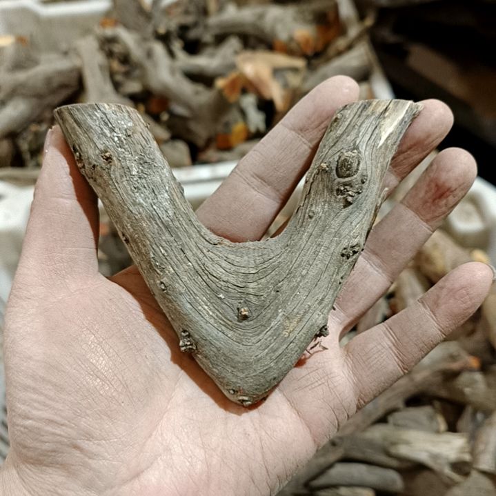 邵***森香榧木崖柏随行毛料毛料