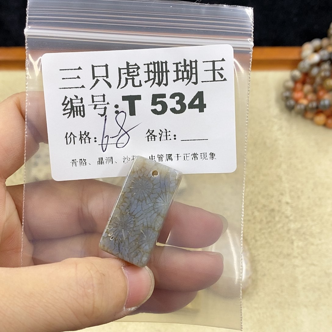 硅化珊瑚（珊瑚玉）1未镶嵌元*