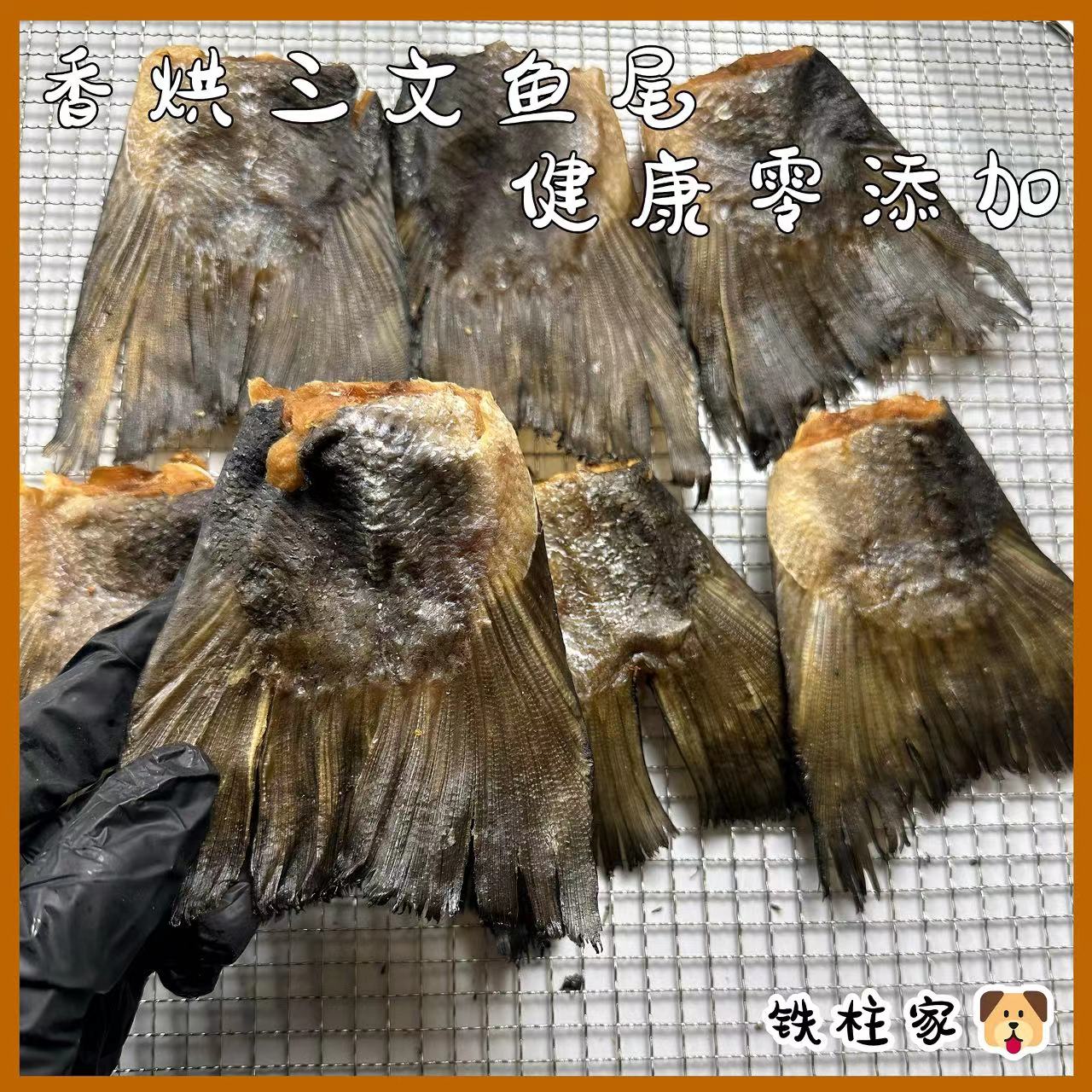 【烘干三文鱼尾】狗狗零食纯手工训练奖励磨牙解馋烘干三文鱼尾零食