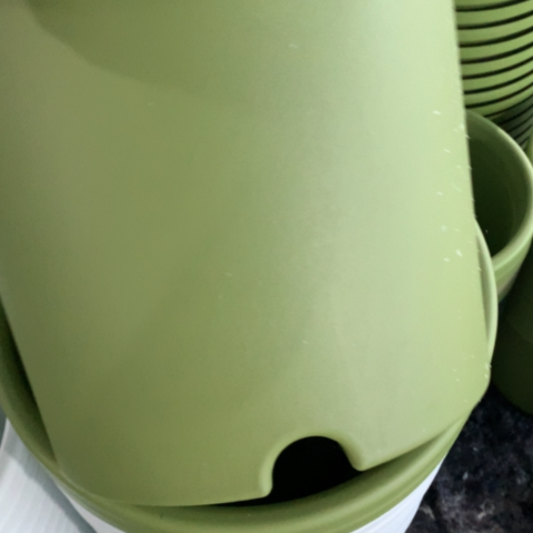 树脂5加果绿无托3个