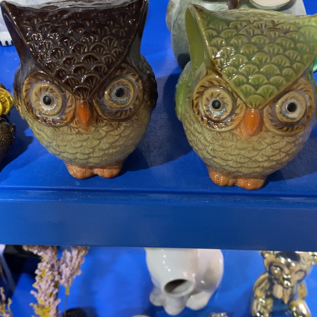 摆件新店开播，9.9包邮发货